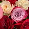 tracyann728